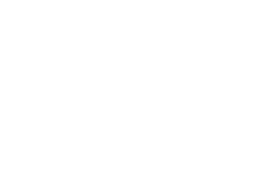03 TOYOTA BOSHOKU