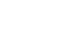 06 semapi