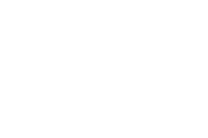 07 grupo gaona