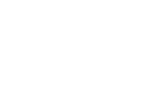 11 Tipoiti