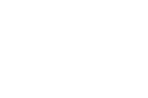 12 raybite