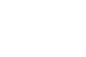 16 crane