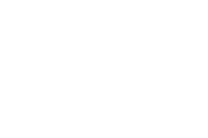 17 country logo