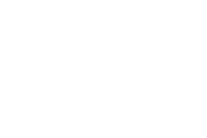 21 Toyota tsusho argentina